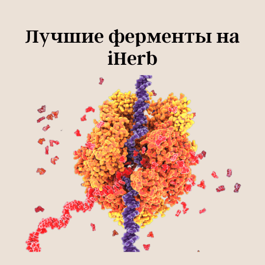 Какие ферменты лучше для поджелудочной. Ферменты айхерб для пищеварения. пищеварительные ферменты картинки. желудочные ферменты. ферменты картинки для презентации.