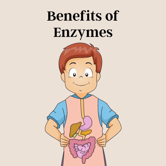 digestive enzymes iherb